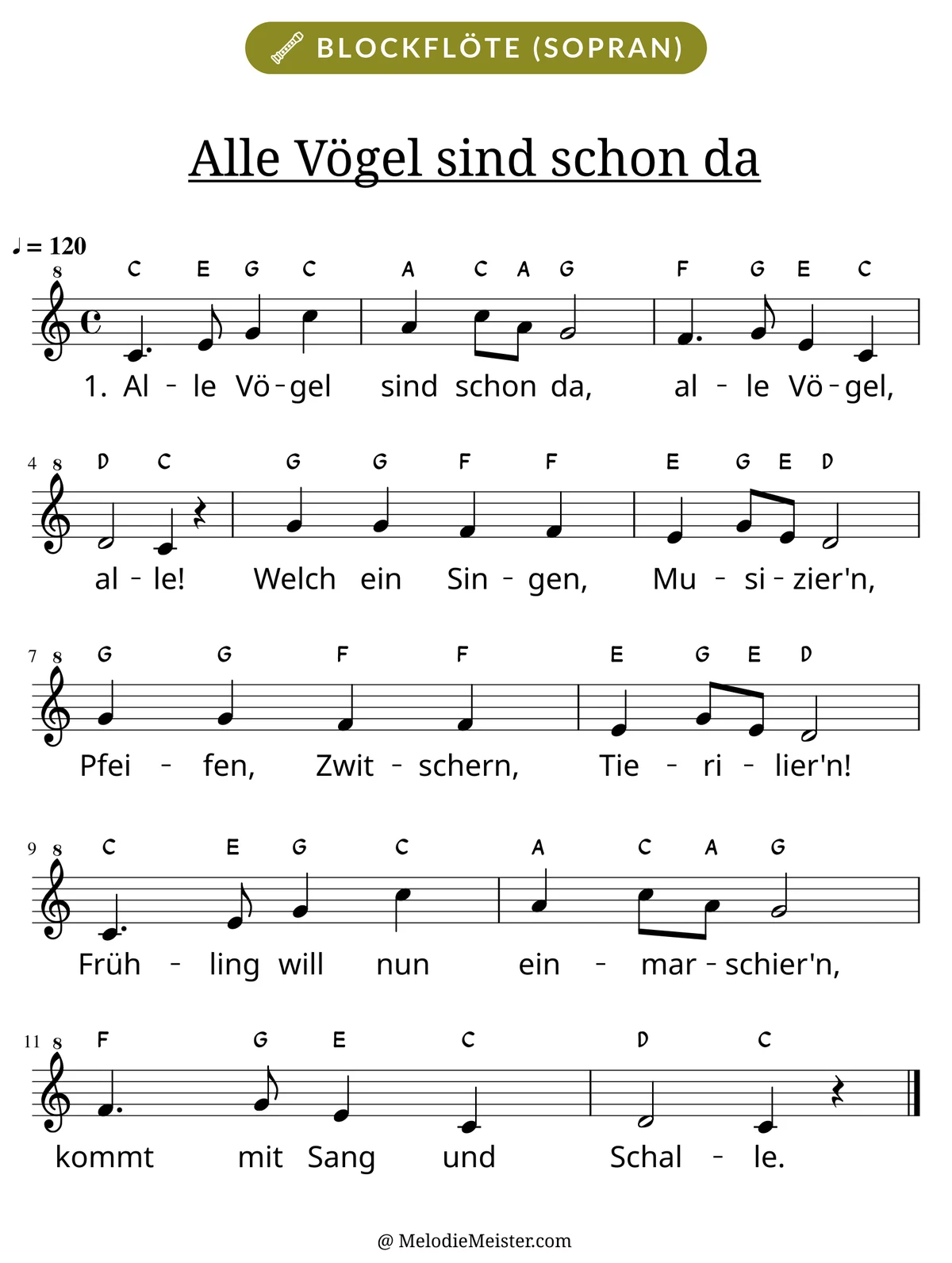 Notenblatt „Alle Vögel sind schon da“ für Blockflöte: Melodie mit Buchstaben über den Noten, darunter der Liedtext der 1. Strophe.