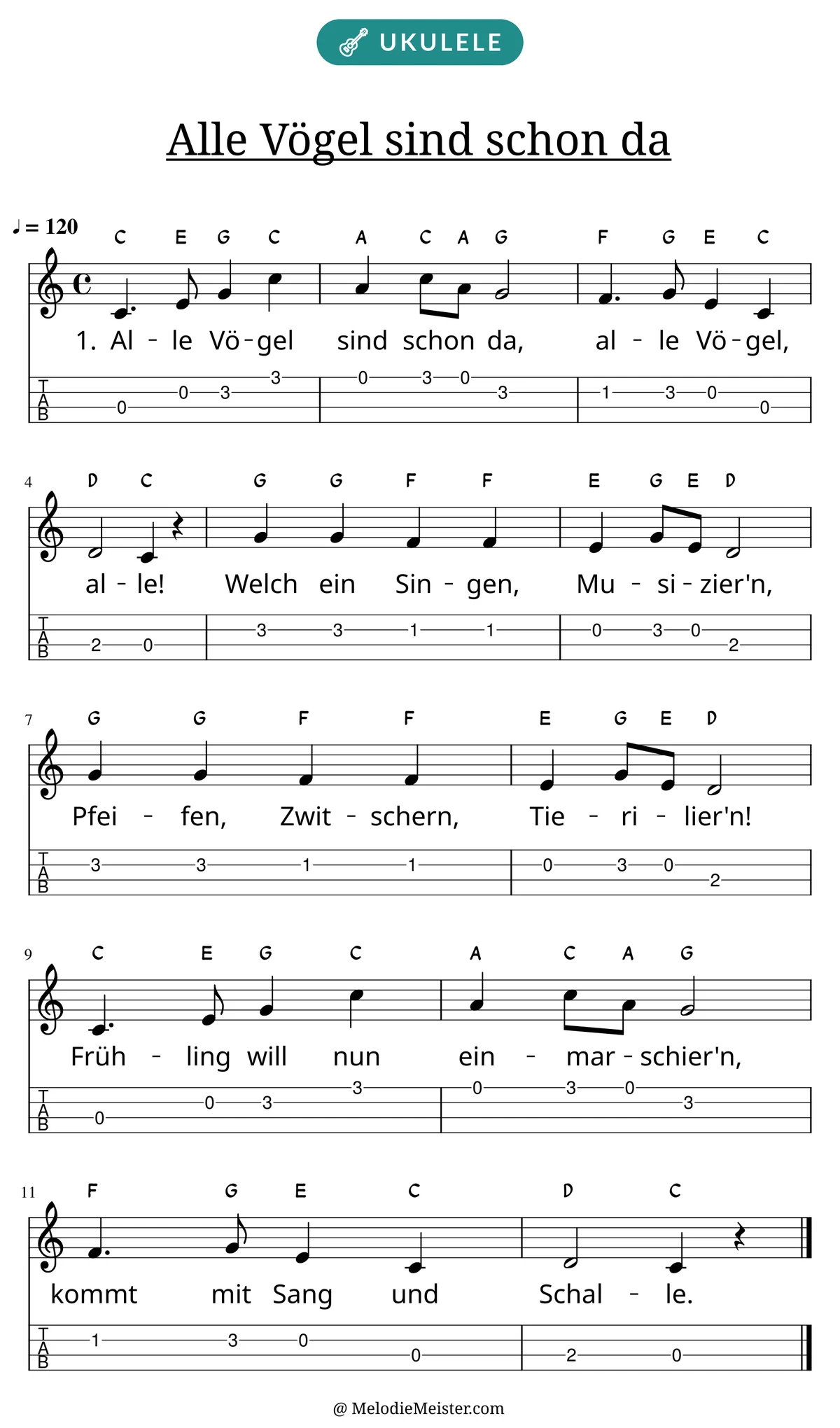 Notenblatt „Alle Vögel sind schon da“ für Ukulele: Melodie mit Buchstaben über den Noten, darunter der Liedtext der 1. Strophe und die Ukulele-Tabulatur mit Bundzahlen.