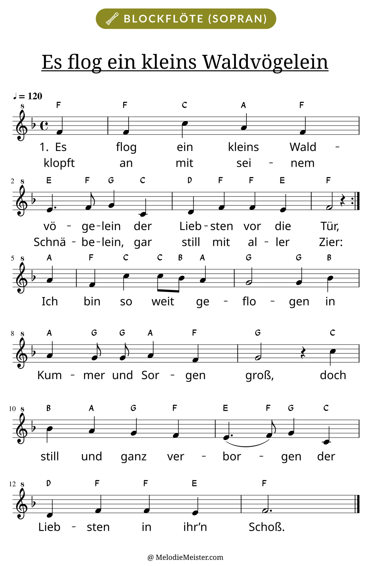 Notenblatt „Es flog ein kleins Waldvögelein“ für Blockflöte: Melodie mit Buchstaben über den Noten, darunter der Liedtext der ersten beiden Strophen.
