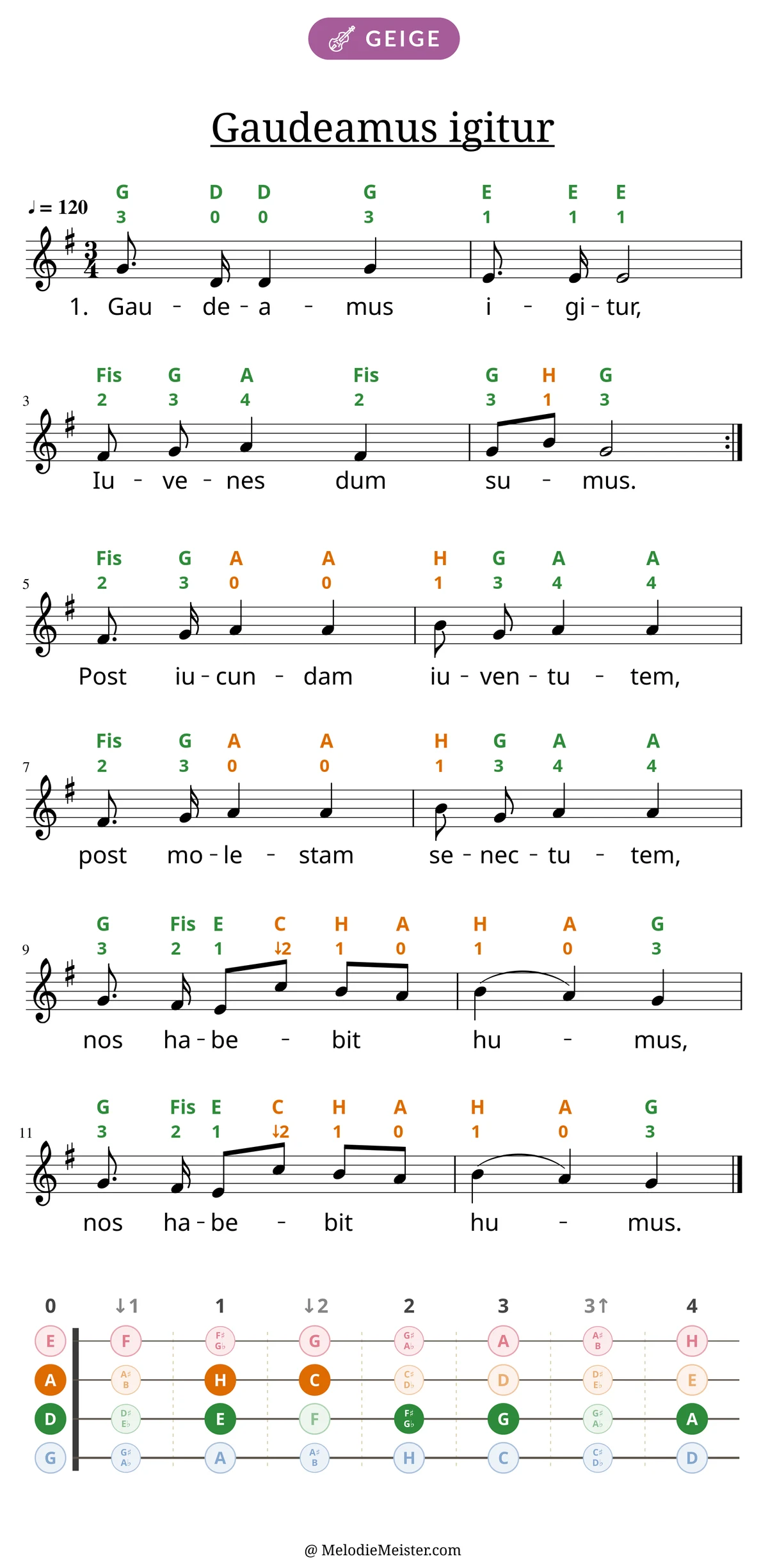 Notenblatt „Gaudeamus igitur“ für Geige: Melodie mit Buchstaben und Fingerziffern in Saitenfarben über den Noten, darunter der Liedtext der 1. Strophe, unten das Griffbrett der ersten Lage mit den gegriffenen Tönen.